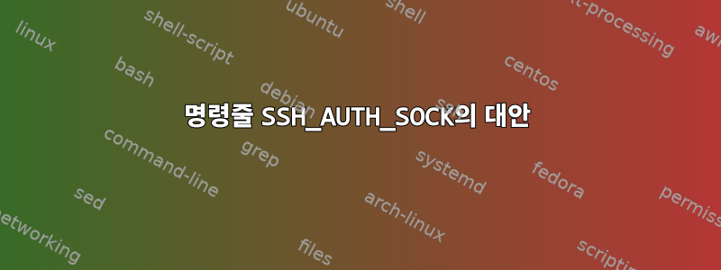 명령줄 SSH_AUTH_SOCK의 대안