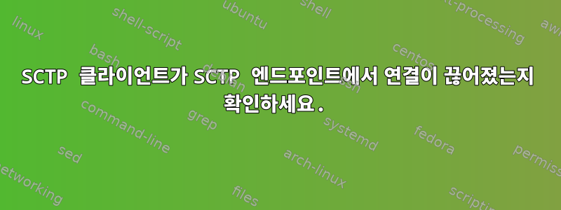 SCTP 클라이언트가 SCTP 엔드포인트에서 연결이 끊어졌는지 확인하세요.