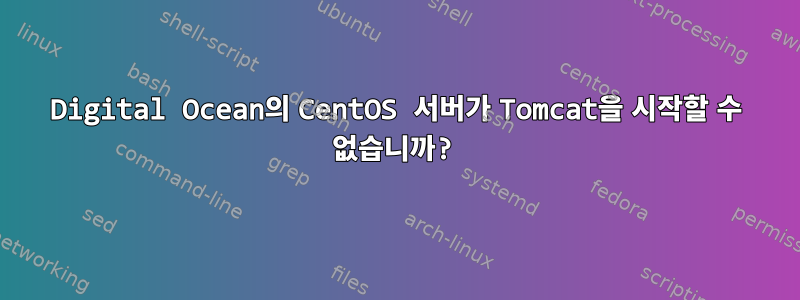 Digital Ocean의 CentOS 서버가 Tomcat을 시작할 수 없습니까?