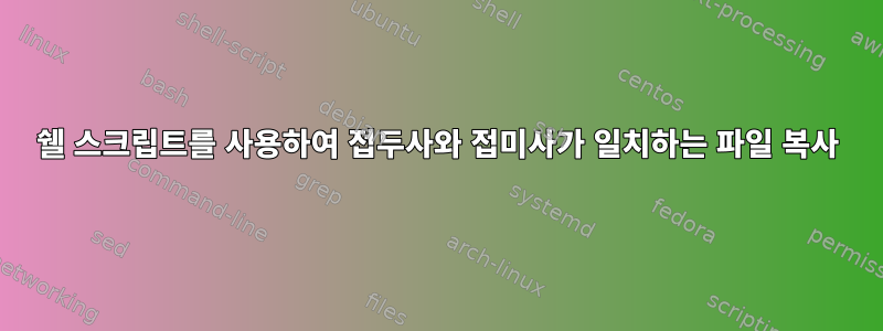 쉘 스크립트를 사용하여 접두사와 접미사가 일치하는 파일 복사