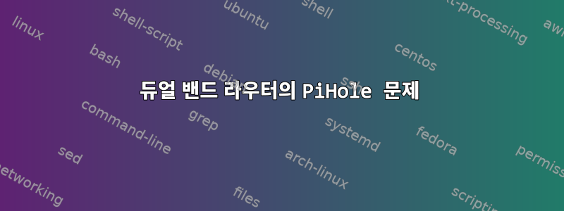 듀얼 밴드 라우터의 PiHole 문제