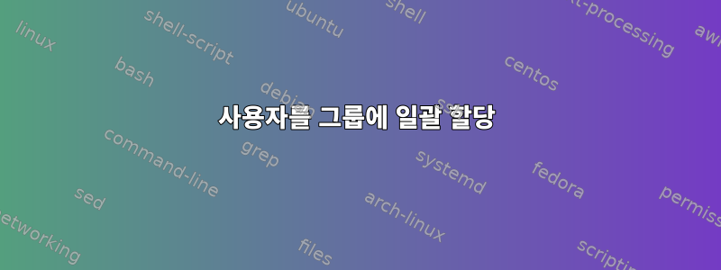 사용자를 그룹에 일괄 할당