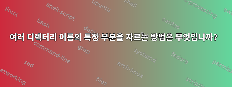 여러 디렉터리 이름의 특정 부분을 자르는 방법은 무엇입니까?