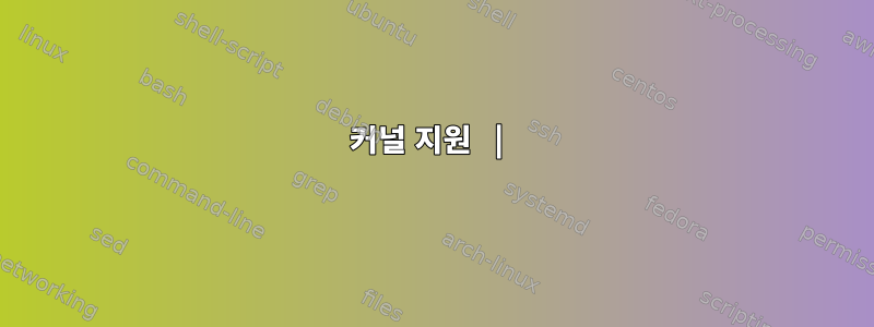 커널 지원 |