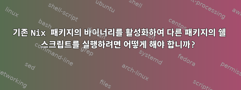 기존 Nix 패키지의 바이너리를 활성화하여 다른 패키지의 쉘 스크립트를 실행하려면 어떻게 해야 합니까?