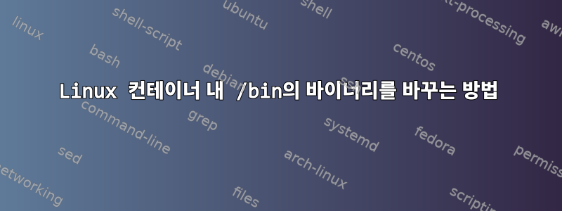 Linux 컨테이너 내 /bin의 바이너리를 바꾸는 방법