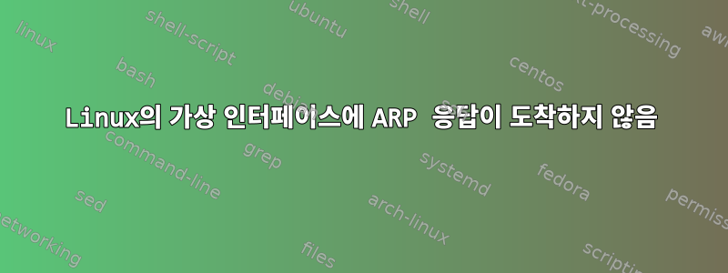 Linux의 가상 인터페이스에 ARP 응답이 도착하지 않음