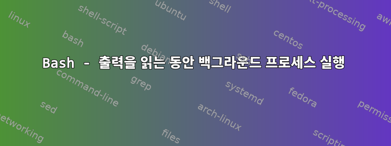 Bash - 출력을 읽는 동안 백그라운드 프로세스 실행