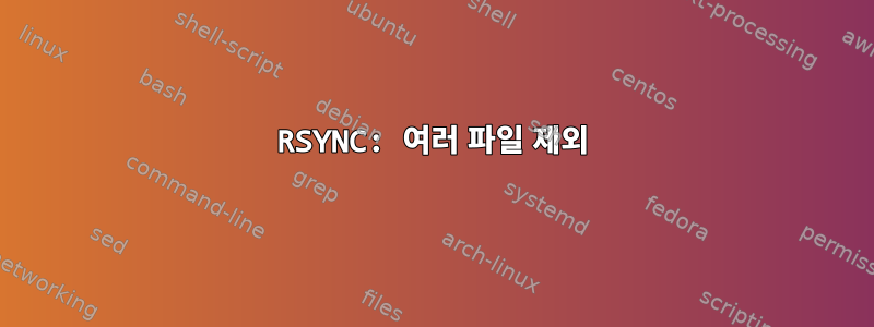 RSYNC: 여러 파일 제외