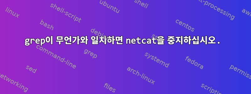 grep이 무언가와 일치하면 netcat을 중지하십시오.