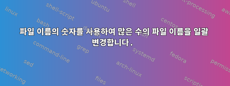 파일 이름의 숫자를 사용하여 많은 수의 파일 이름을 일괄 변경합니다.