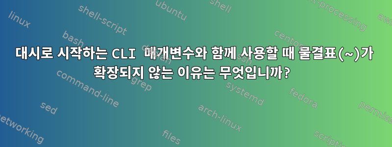 대시로 시작하는 CLI 매개변수와 함께 사용할 때 물결표(~)가 확장되지 않는 이유는 무엇입니까?