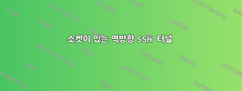 소켓이 있는 역방향 SSH 터널