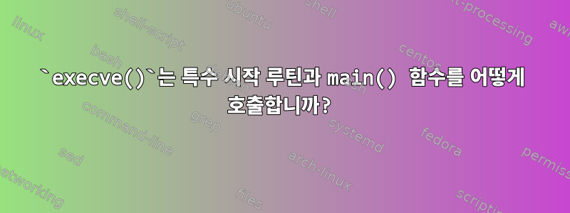 `execve()`는 특수 시작 루틴과 main() 함수를 어떻게 호출합니까?