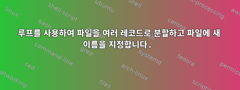 루프를 사용하여 파일을 여러 레코드로 분할하고 파일에 새 이름을 지정합니다.