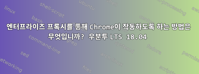 엔터프라이즈 프록시를 통해 Chrome이 작동하도록 하는 방법은 무엇입니까? 우분투 LTS 18.04