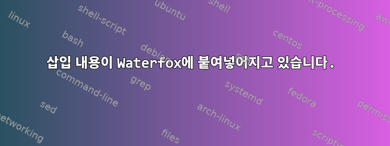 삽입 내용이 Waterfox에 붙여넣어지고 있습니다.