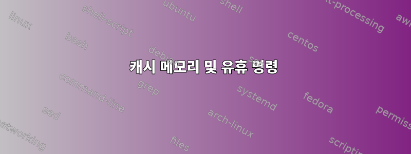 캐시 메모리 및 유휴 명령