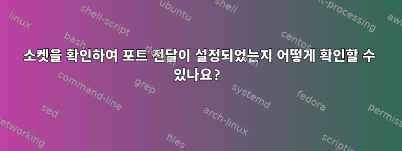 소켓을 확인하여 포트 전달이 설정되었는지 어떻게 확인할 수 있나요?