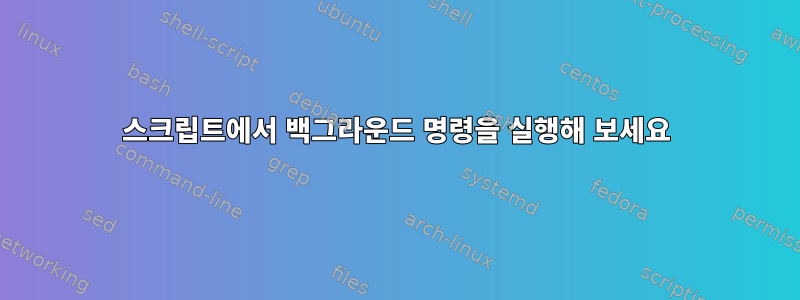 스크립트에서 백그라운드 명령을 실행해 보세요