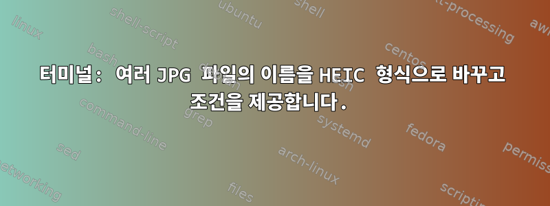 터미널: 여러 JPG 파일의 이름을 HEIC 형식으로 바꾸고 조건을 제공합니다.