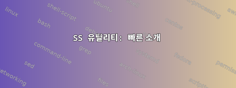 SS 유틸리티: 빠른 소개