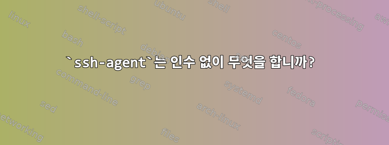 `ssh-agent`는 인수 없이 무엇을 합니까?