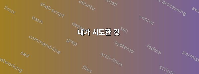 내가 시도한 것