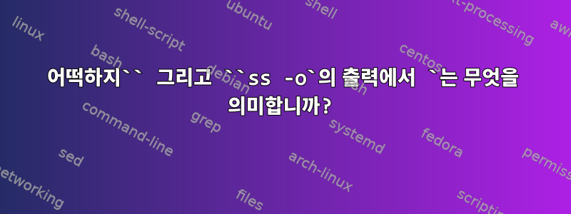 어떡하지`` 그리고 ``ss -o`의 출력에서 ​​`는 무엇을 의미합니까?