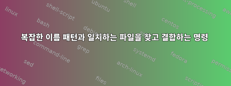 복잡한 이름 패턴과 일치하는 파일을 찾고 결합하는 명령