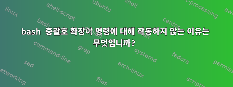 bash 중괄호 확장이 명령에 대해 작동하지 않는 이유는 무엇입니까?