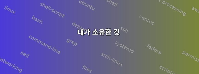 내가 소유한 것