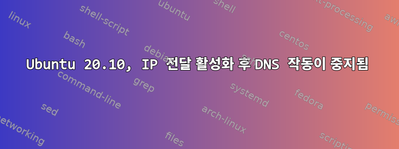 Ubuntu 20.10, IP 전달 활성화 후 DNS 작동이 중지됨