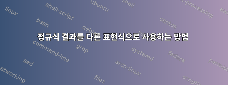 정규식 결과를 다른 표현식으로 사용하는 방법