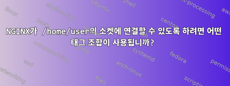 NGINX가 /home/user의 소켓에 연결할 수 있도록 하려면 어떤 태그 조합이 사용됩니까?