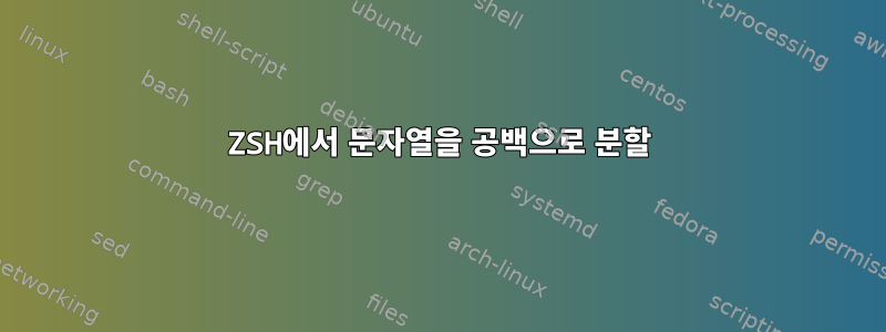 ZSH에서 문자열을 공백으로 분할