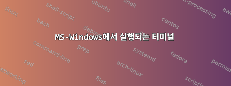 MS-Windows에서 실행되는 터미널