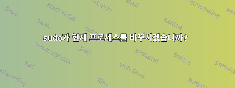 sudo가 현재 프로세스를 바꾸시겠습니까?