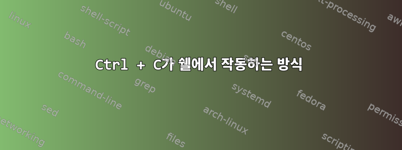 Ctrl + C가 쉘에서 작동하는 방식