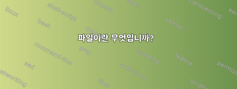 파일이란 무엇입니까?