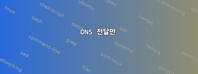 DNS 전달만