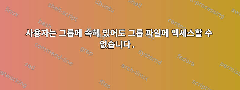 사용자는 그룹에 속해 있어도 그룹 파일에 액세스할 수 없습니다.