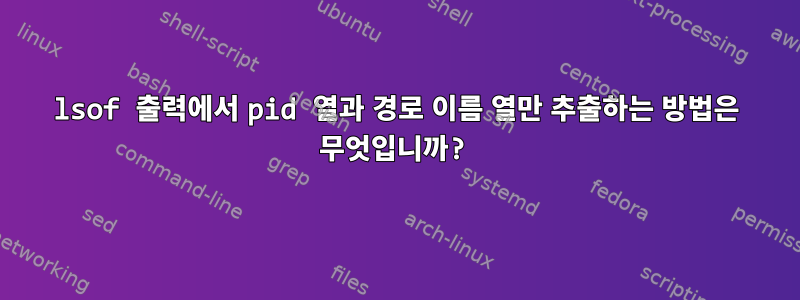 lsof 출력에서 ​​pid 열과 경로 이름 열만 추출하는 방법은 무엇입니까?