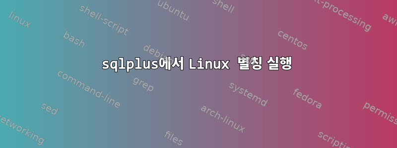 sqlplus에서 Linux 별칭 실행