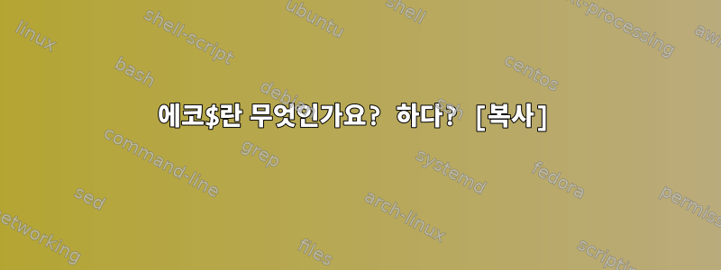 에코$란 무엇인가요? 하다? [복사]