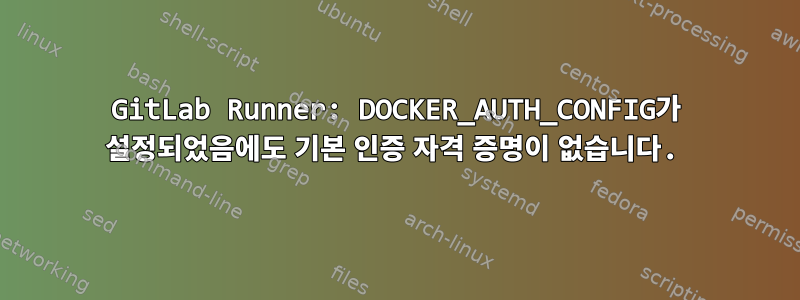 GitLab Runner: DOCKER_AUTH_CONFIG가 설정되었음에도 기본 인증 자격 증명이 없습니다.