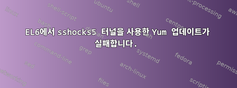 EL6에서 sshocks5 터널을 사용한 Yum 업데이트가 실패합니다.