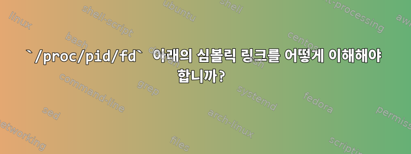 `/proc/pid/fd` 아래의 심볼릭 링크를 어떻게 이해해야 합니까?