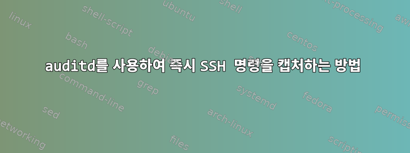 auditd를 사용하여 즉시 SSH 명령을 캡처하는 방법