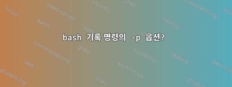 bash 기록 명령의 -p 옵션?